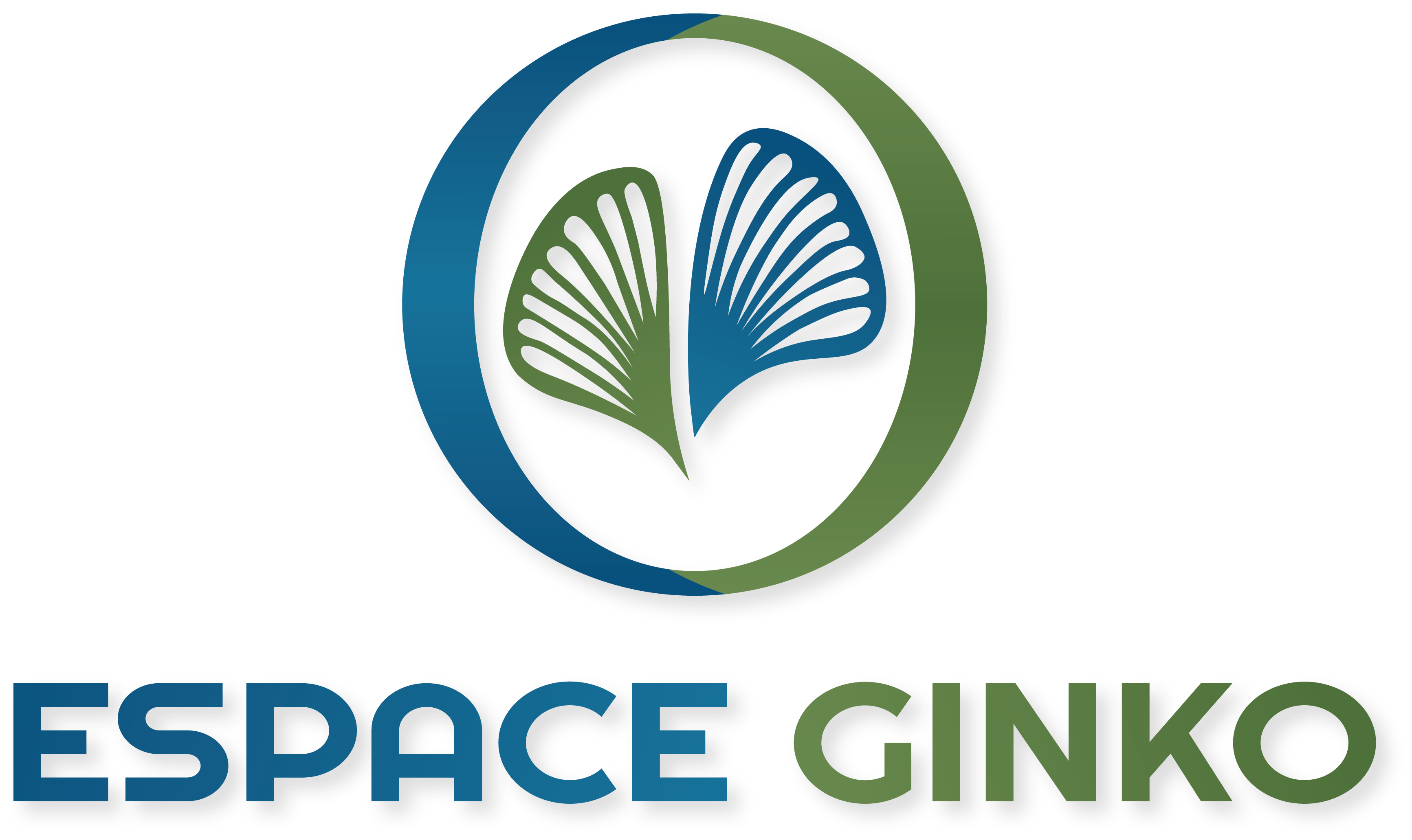 Logo Espace Ginko à Monflanquin